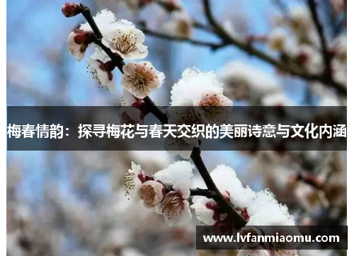 梅春情韵:探寻梅花与春天交织的美丽诗意与文化内涵