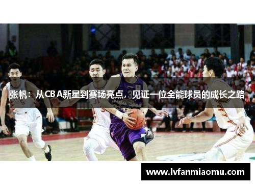 张帆:从CBA新星到赛场亮点,见证一位全能球员的成长之路