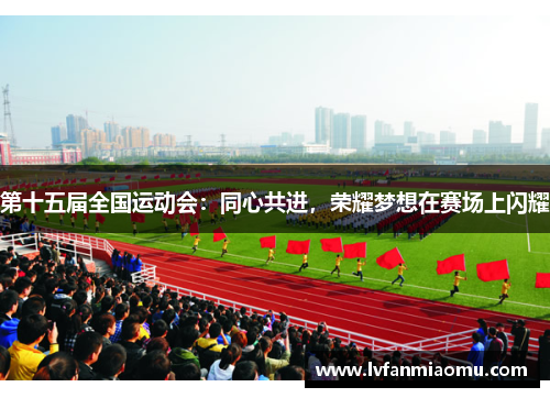 第十五届全国运动会:同心共进,荣耀梦想在赛场上闪耀