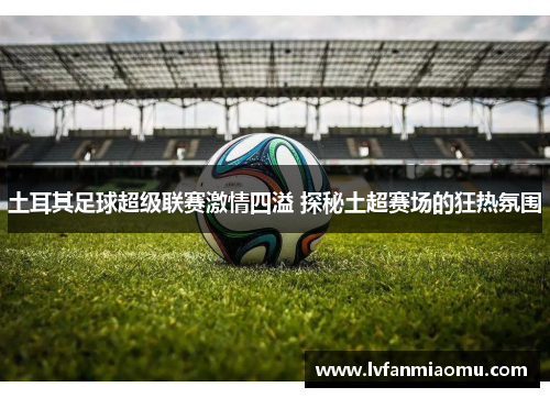土耳其足球超级联赛激情四溢 探秘土超赛场的狂热氛围